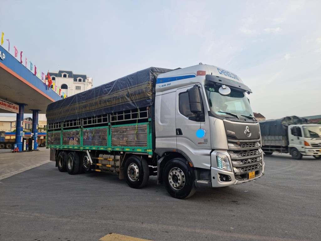 cheng-long-cu-5-chan-2020
