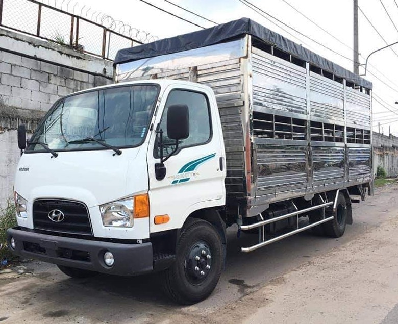 gia-xe-110sl-cho-heo-cho-lon