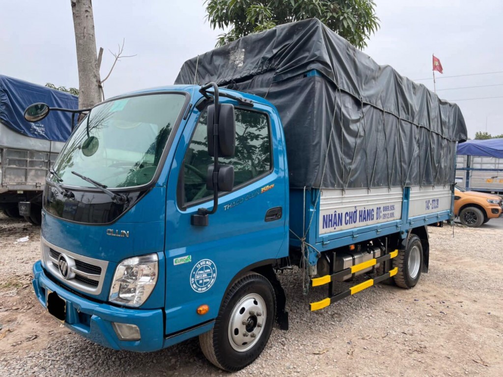 ollin-350-2019-3t5