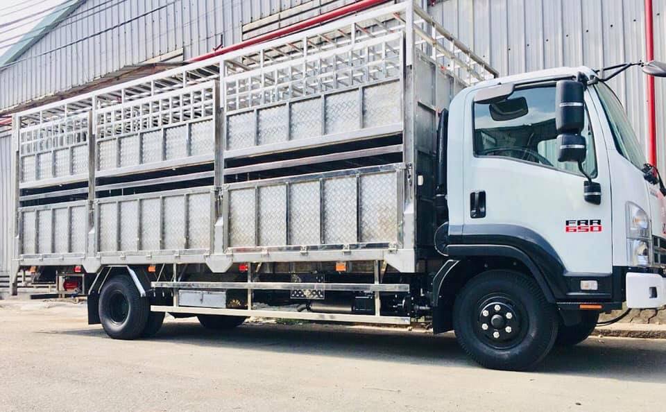 xe-isuzu-6.5t-tgybg-cho-heo.jpg